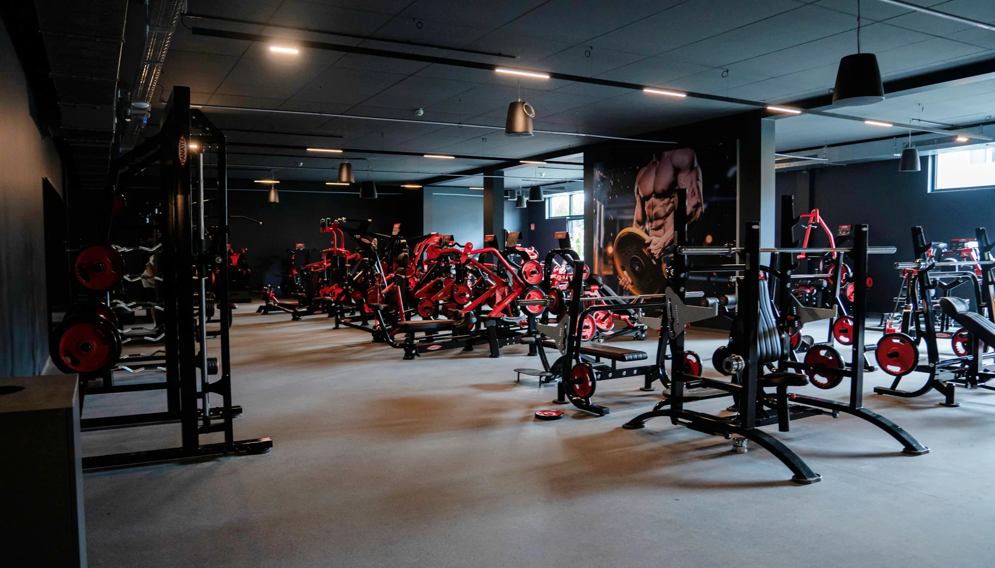 Cardiobereich des LifeForce Studios