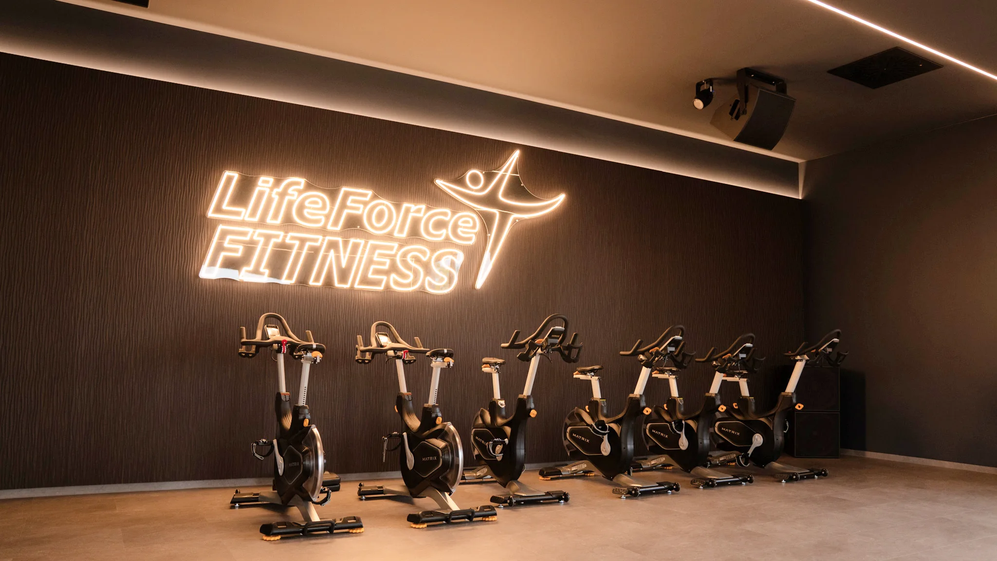 Functional-Training-Bereich